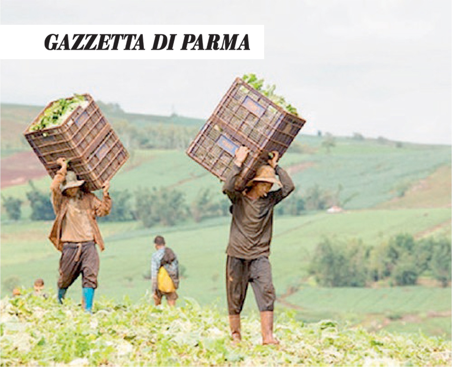 Calabria, non solo degrado: solidarietà e impresa alla riscossa